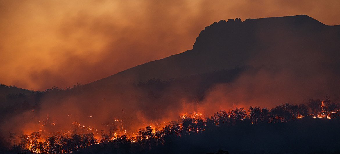 imagen noticia Los incendios forestales aumentarán un 30% para 2050 y un 50% para fin de siglo debido a la crisis climática